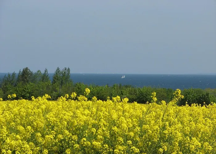 Sonnendeck No 11 - Aurora Vista - Abc533 *